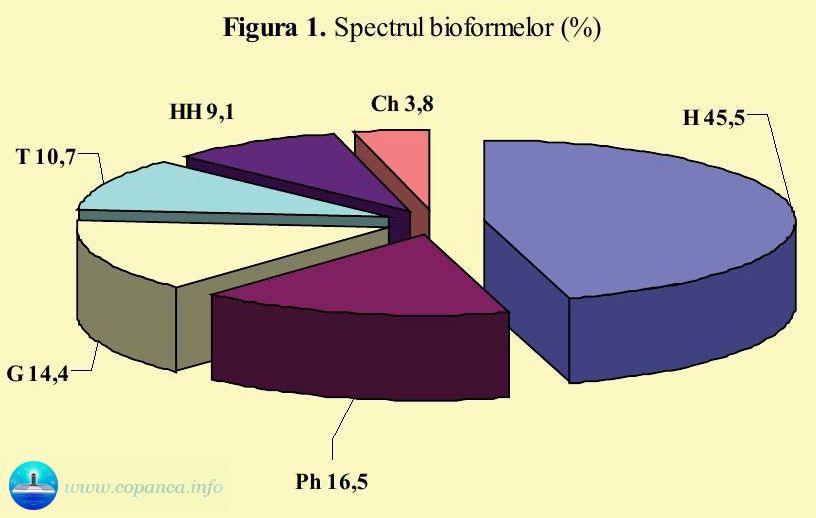 Figura 1. Spectrul bioformelor (%)
